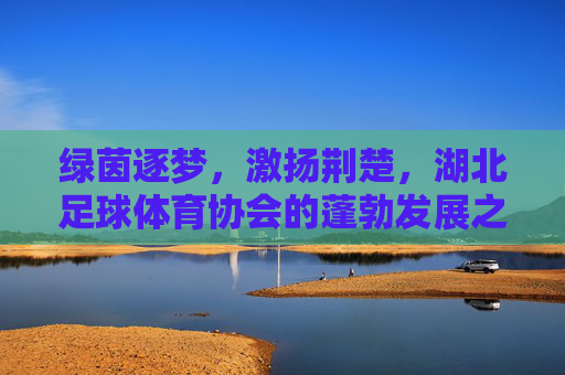 绿茵逐梦,激扬荆楚,湖北足球体育协会的蓬勃发展之路