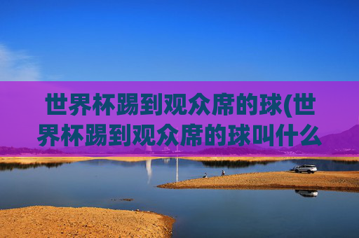 世界杯踢到观众席的球(世界杯踢到观众席的球叫什么)