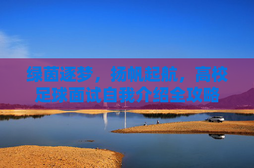 绿茵逐梦,扬帆起航,高校足球面试自我介绍全攻略