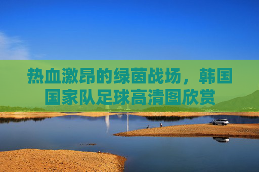 热血激昂的绿茵战场,韩国国家队足球高清图欣赏