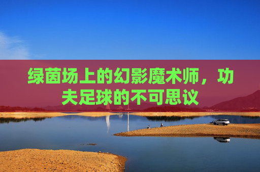 绿茵场上的幻影魔术师,功夫足球的不可思议