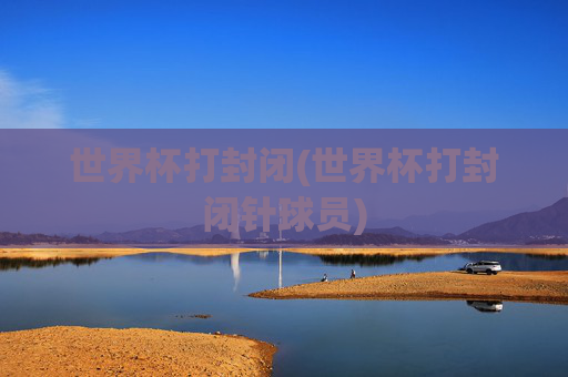 世界杯打封闭(世界杯打封闭针球员)