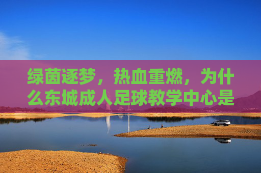 绿茵逐梦,热血重燃,为什么东城成人足球教学中心是你的最佳选择?