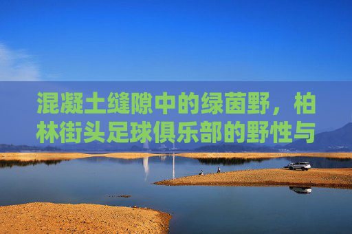 混凝土缝隙中的绿茵野,柏林街头足球俱乐部的野性与自由
