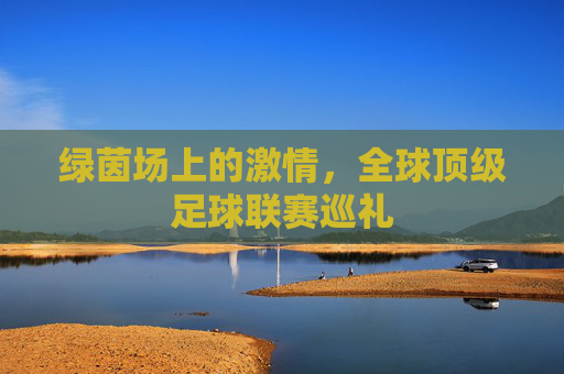 绿茵场上的激情,全球顶级足球联赛巡礼