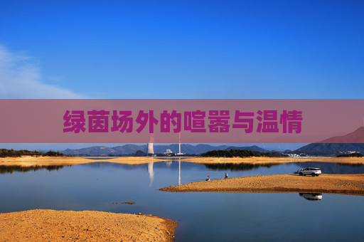 绿茵场外的喧嚣与温情