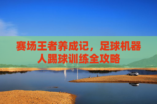 赛场王者养成记,足球机器人踢球训练全攻略