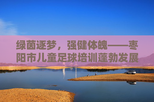 绿茵逐梦,强健体魄——枣阳市儿童足球培训蓬勃发展