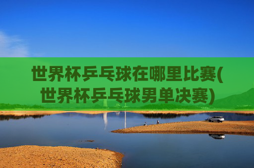 世界杯乒乓球在哪里比赛(世界杯乒乓球男单决赛)