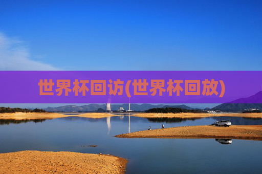 世界杯回访(世界杯回放)