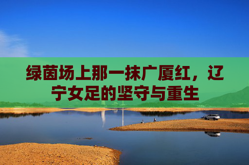 绿茵场上那一抹广厦红,辽宁女足的坚守与重生