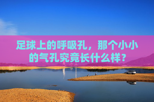 足球上的呼吸孔,那个小小的气孔究竟长什么样?