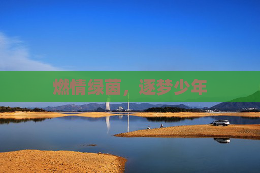 燃情绿茵，逐梦少年
