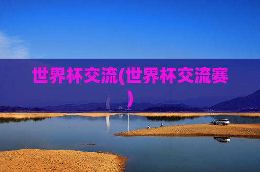 世界杯交流(世界杯交流赛)