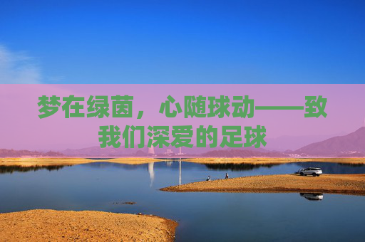 梦在绿茵,心随球动——致我们深爱的足球