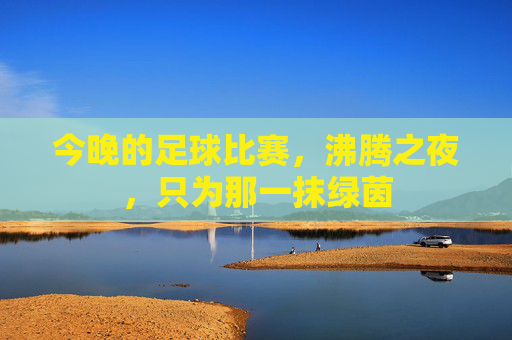 今晚的足球比赛,沸腾之夜,只为那一抹绿茵