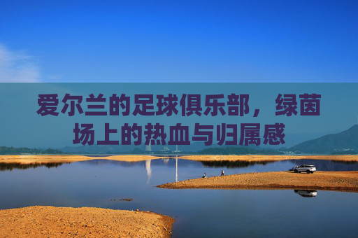 爱尔兰的足球俱乐部,绿茵场上的热血与归属感