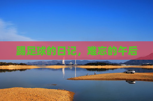 踢足球的日记,难忘的午后