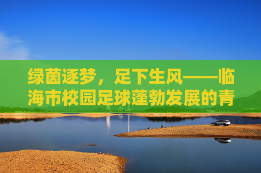 绿茵逐梦,足下生风——临海市校园足球蓬勃发展的青春画卷