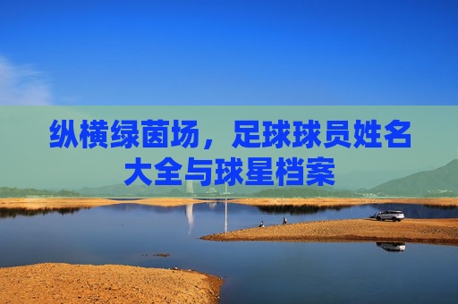 纵横绿茵场，足球球员姓名大全与球星档案