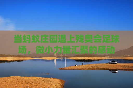当蚂蚁庄园遇上残奥会足球场，微小力量汇聚的感动