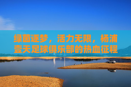 绿茵逐梦，活力无限，杨浦壹天足球俱乐部的热血征程
