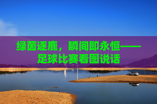 绿茵逐鹿,瞬间即永恒——足球比赛看图说话