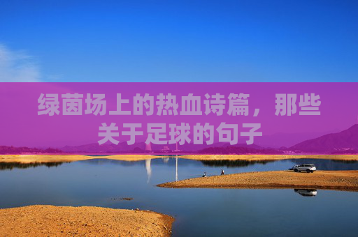 绿茵场上的热血诗篇,那些关于足球的句子