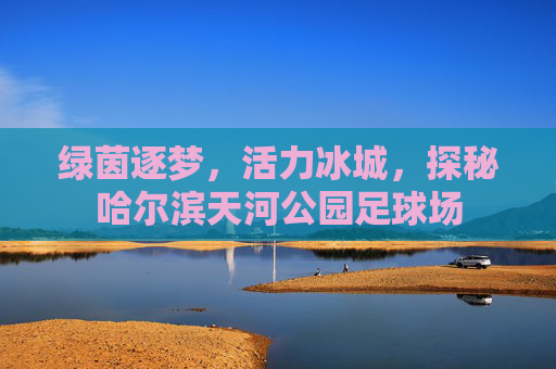 绿茵逐梦，活力冰城，探秘哈尔滨天河公园足球场
