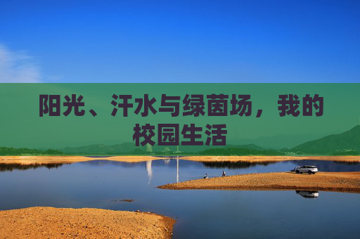 阳光、汗水与绿茵场，我的校园生活