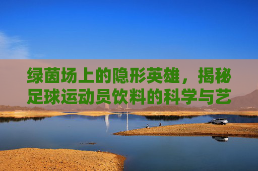 绿茵场上的隐形英雄,揭秘足球运动员饮料的科学与艺术
