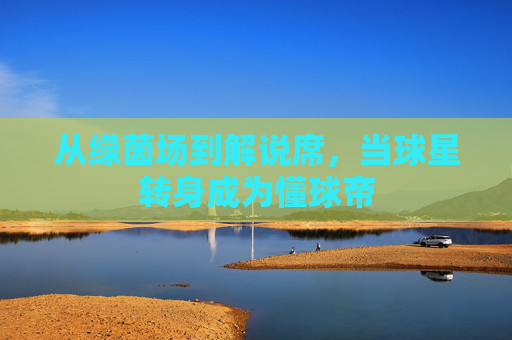 从绿茵场到解说席,当球星转身成为懂球帝