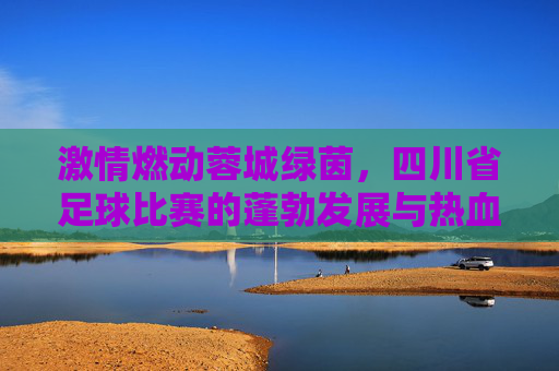 激情燃动蓉城绿茵,四川省足球比赛的蓬勃发展与热血瞬间
