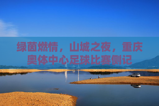 绿茵燃情,山城之夜,重庆奥体中心足球比赛侧记