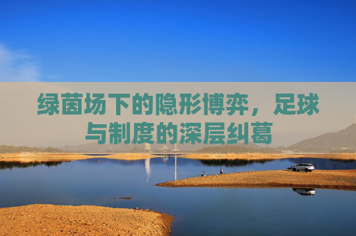 绿茵场下的隐形博弈,足球与制度的深层纠葛