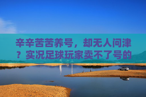 辛辛苦苦养号,却无人问津?实况足球玩家卖不了号的深层困局