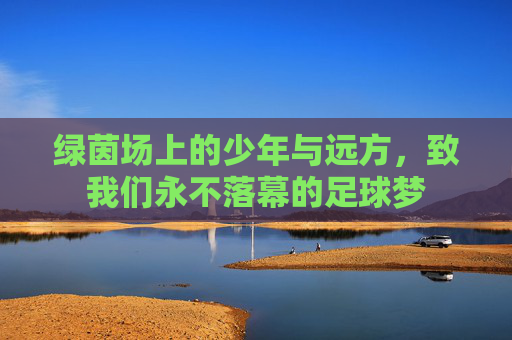 绿茵场上的少年与远方,致我们永不落幕的足球梦