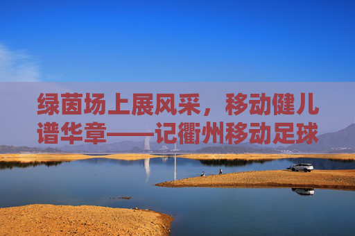 绿茵场上展风采,移动健儿谱华章——记衢州移动足球队员