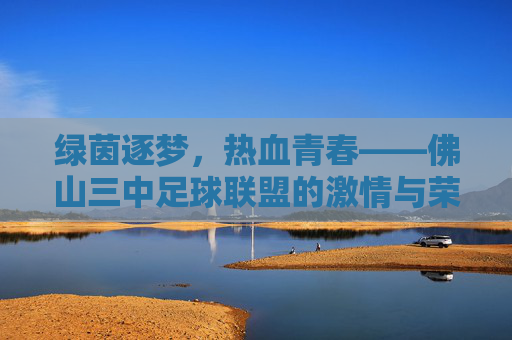 绿茵逐梦,热血青春——佛山三中足球联盟的激情与荣耀