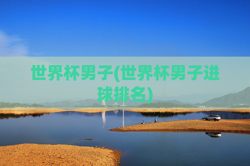 世界杯男子(世界杯男子进球排名)