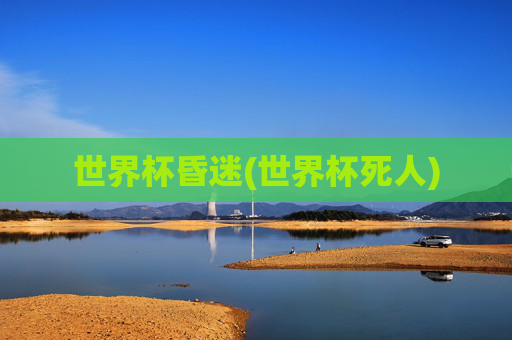 世界杯昏迷(世界杯死人)