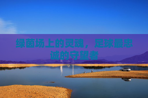 绿茵场上的灵魂,足球最忠诚的守望者