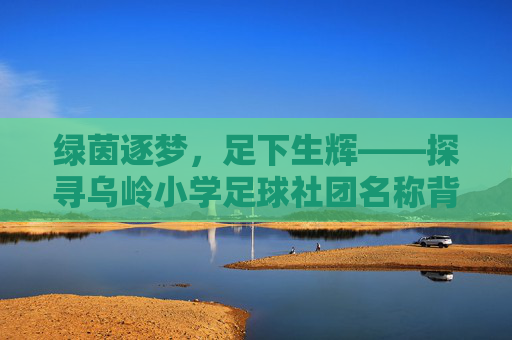 绿茵逐梦,足下生辉——探寻乌岭小学足球社团名称背后的深意