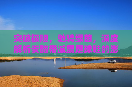 突破极限,驰骋绿茵,深度解析安踏带减震足球鞋的澎湃动力