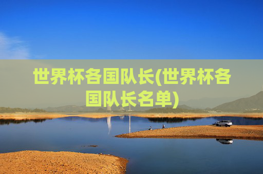 世界杯各国队长(世界杯各国队长名单)