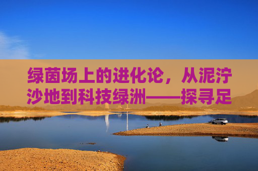 绿茵场上的进化论,从泥泞沙地到科技绿洲——探寻足球草皮的历史记录