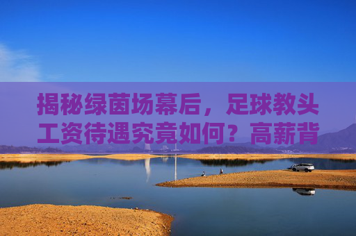 揭秘绿茵场幕后,足球教头工资待遇究竟如何?高薪背后的压力与付出