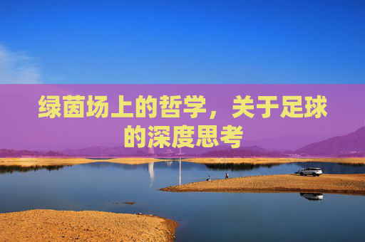 绿茵场上的哲学,关于足球的深度思考