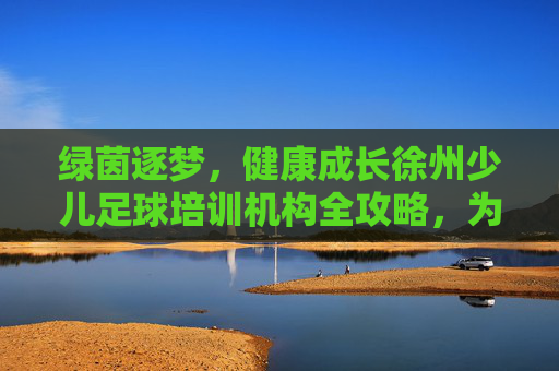 绿茵逐梦,健康成长徐州少儿足球培训机构全攻略,为孩子开启运动新篇章