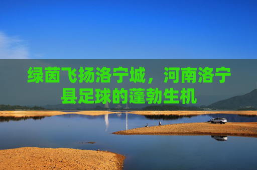 绿茵飞扬洛宁城,河南洛宁县足球的蓬勃生机
